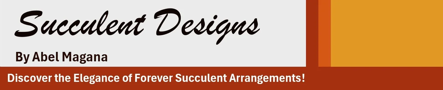 Succulent Designs by Abel Magana