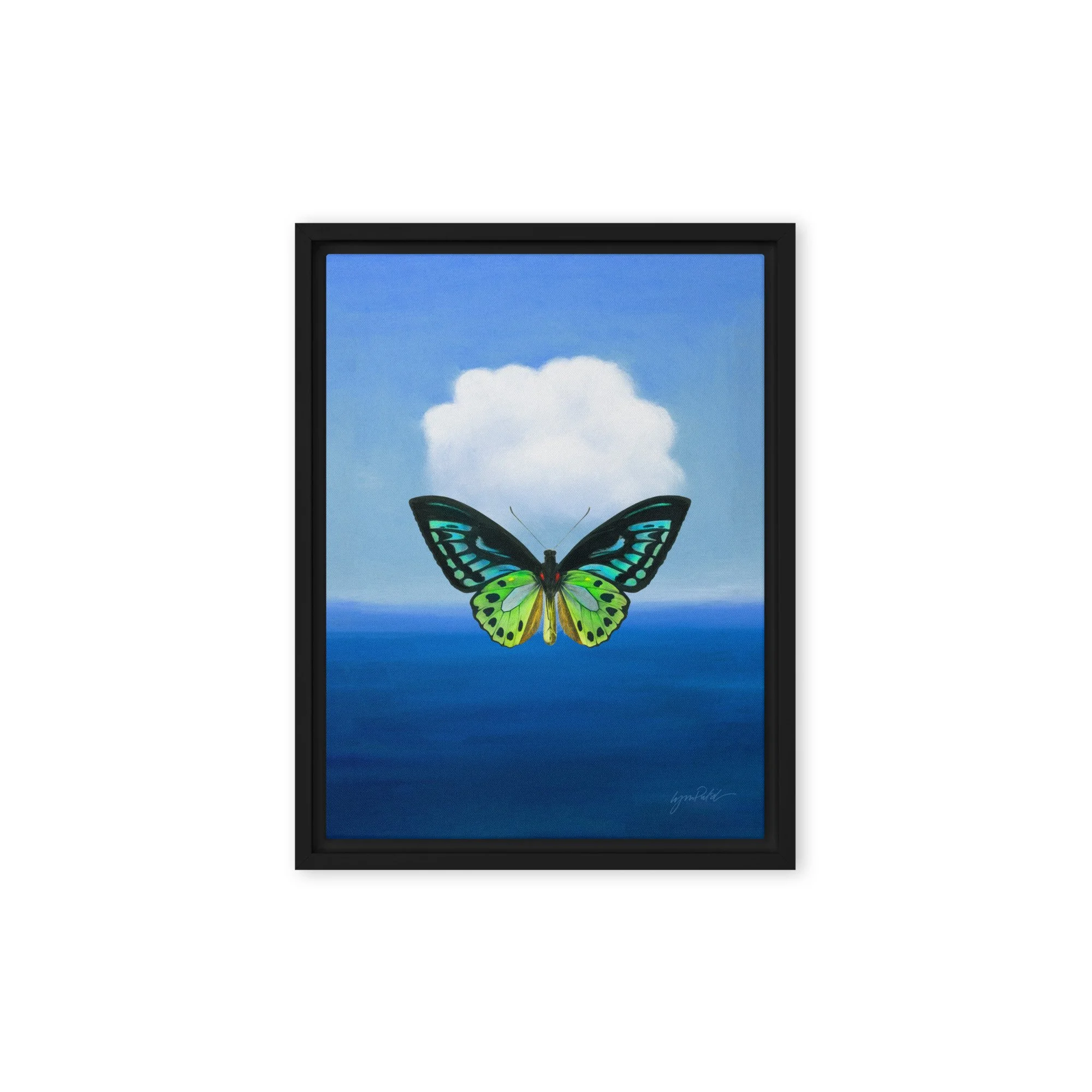 Green Birdwing Butterfly — Lynn Pulsifer Gallery