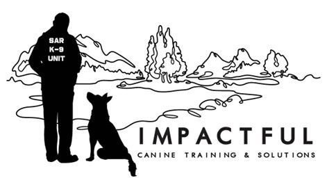 Impactful Canine Training