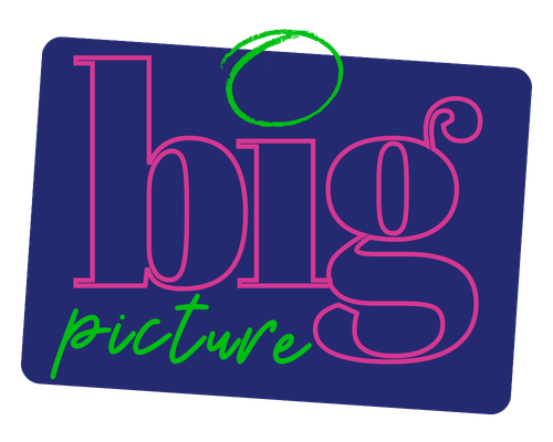 Big Picture Business Coach