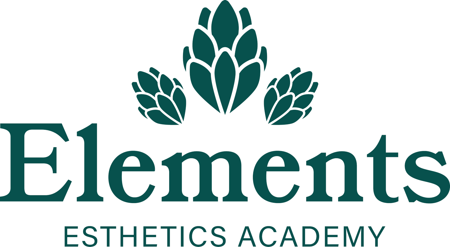 Elements Esthetics Academy