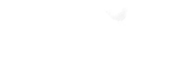 Wrenn Photography