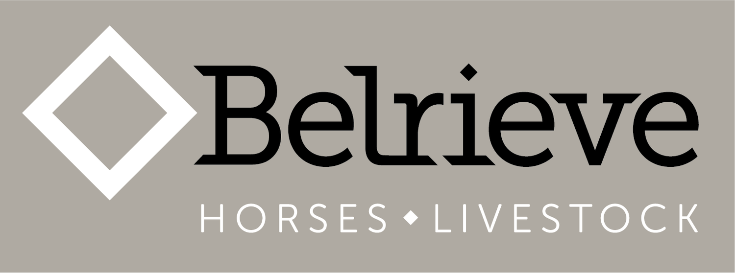 Belrieve Horses