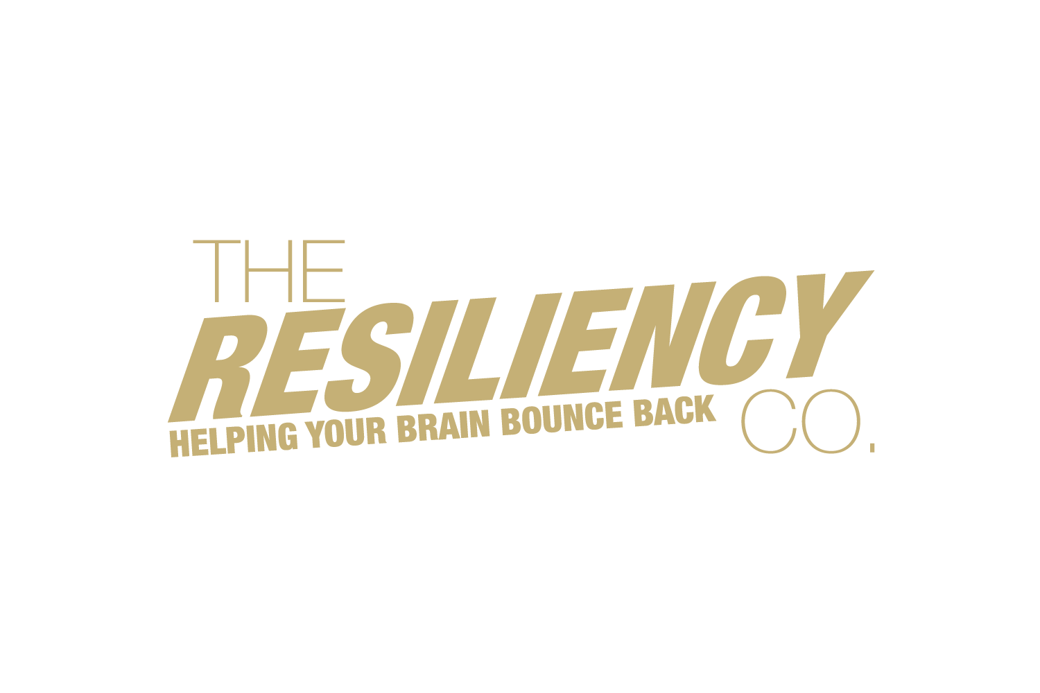 The Resiliency Co.