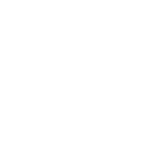 Manual Movement Therapy