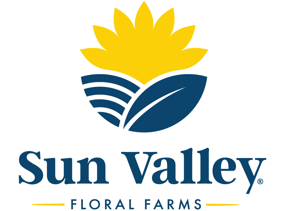 The Sun Valley Group