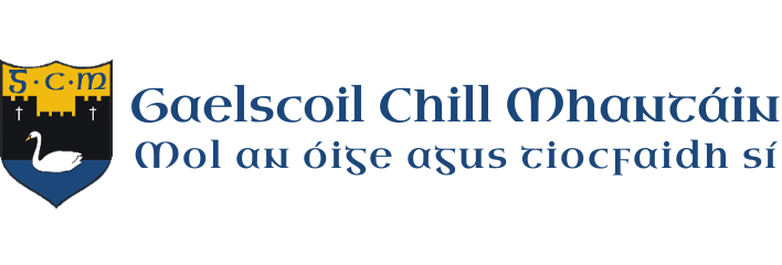 Gaelscoil Chill Mhantáin