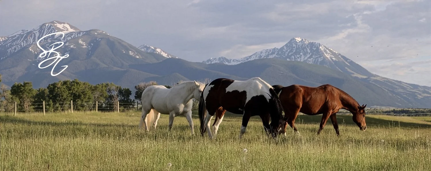 SilverBell Global Coach Curriculum