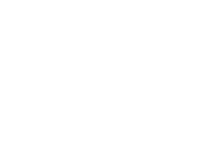 All Event Company