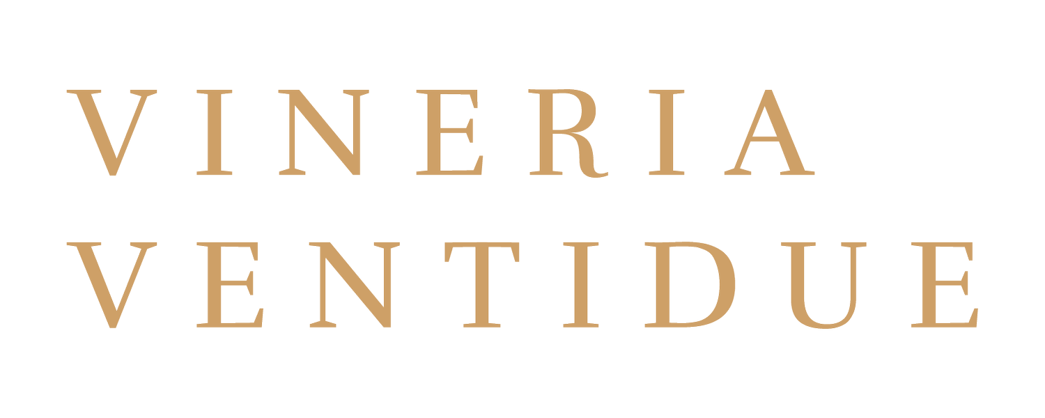 VINERIA VENTIDUE