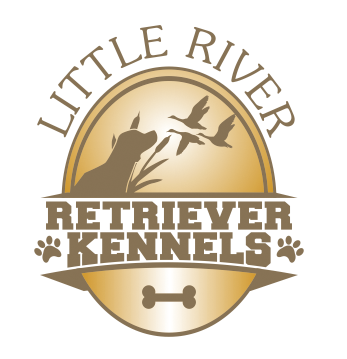 Little River Retriever Kennels