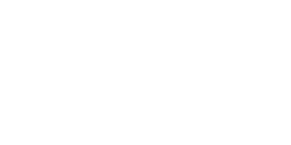 Lagotto dell&#39; Osttirol