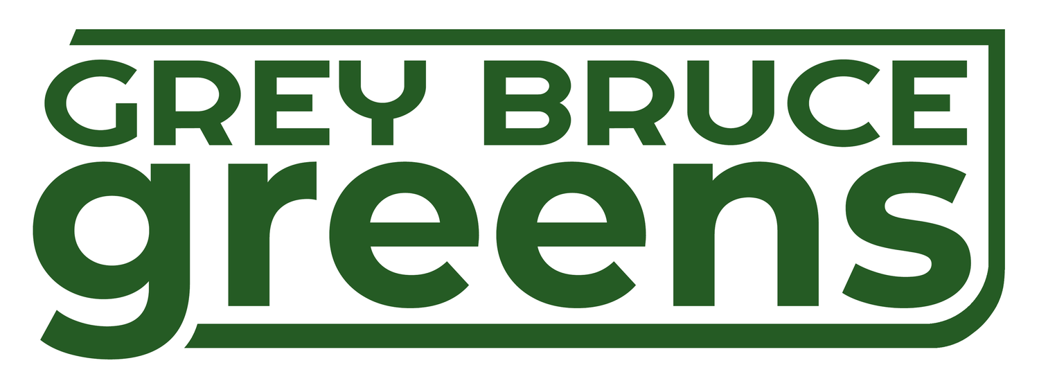 Grey Bruce Greens