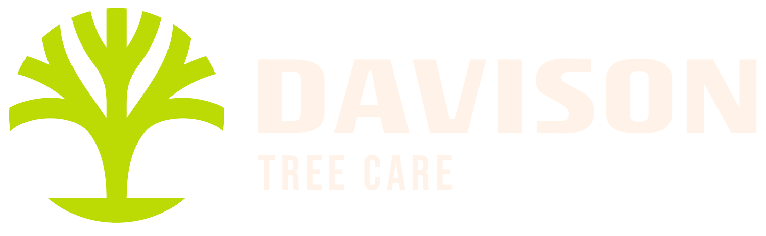 Davison Tree Care