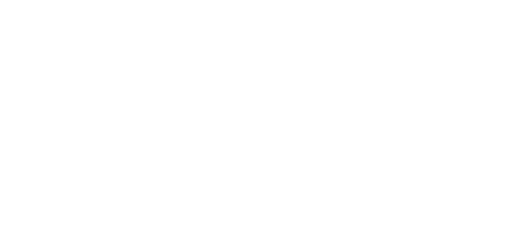 Lynk Telecom