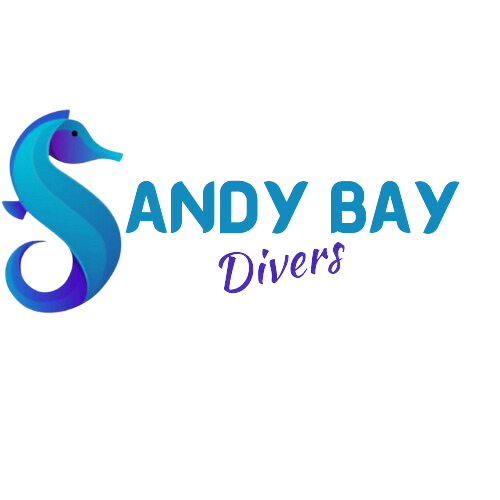 Sandy Bay Divers