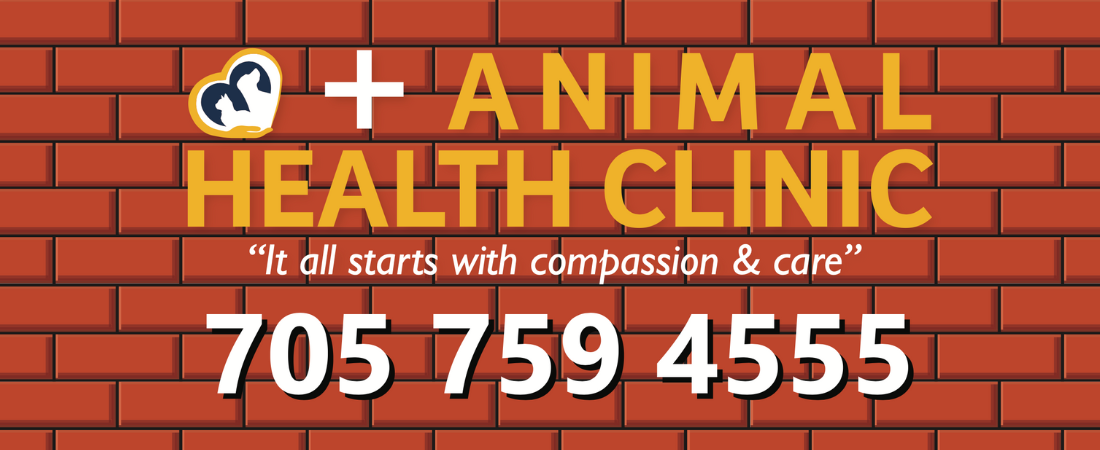 Animal Health Clinic - Sault Ste. Marie