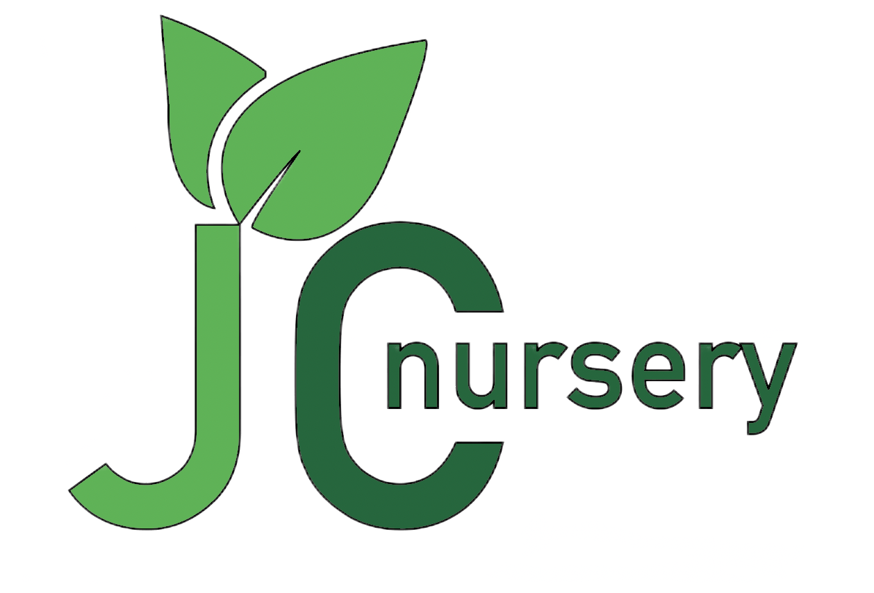 JC Nursery