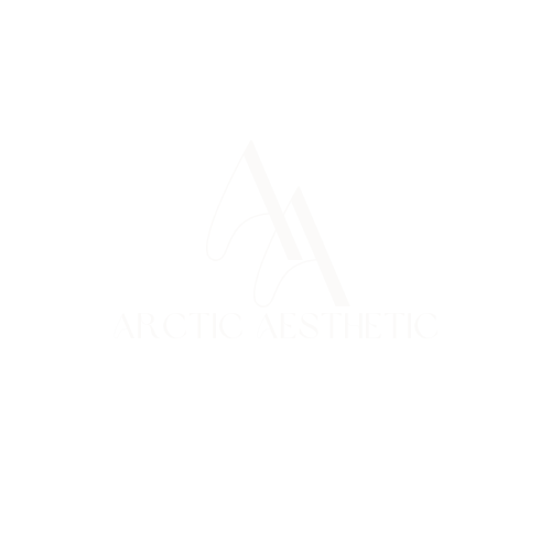 arctic aesthetic