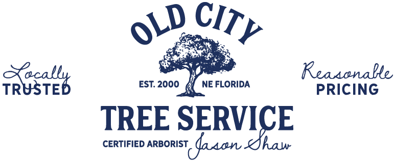 Old City Tree Service