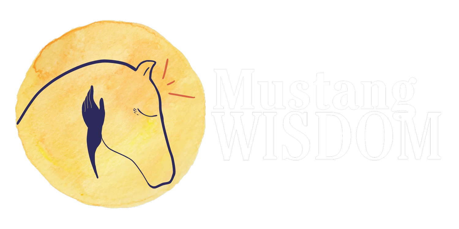Mustang Wisdom