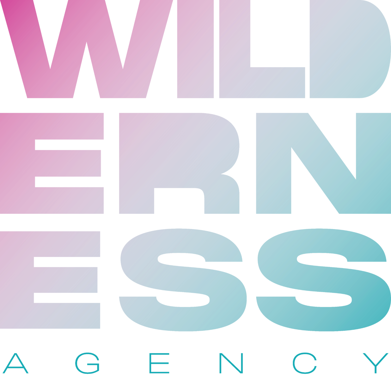 Wilderness Agency - Social Media Transformation