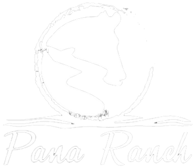 Pana Ranch II