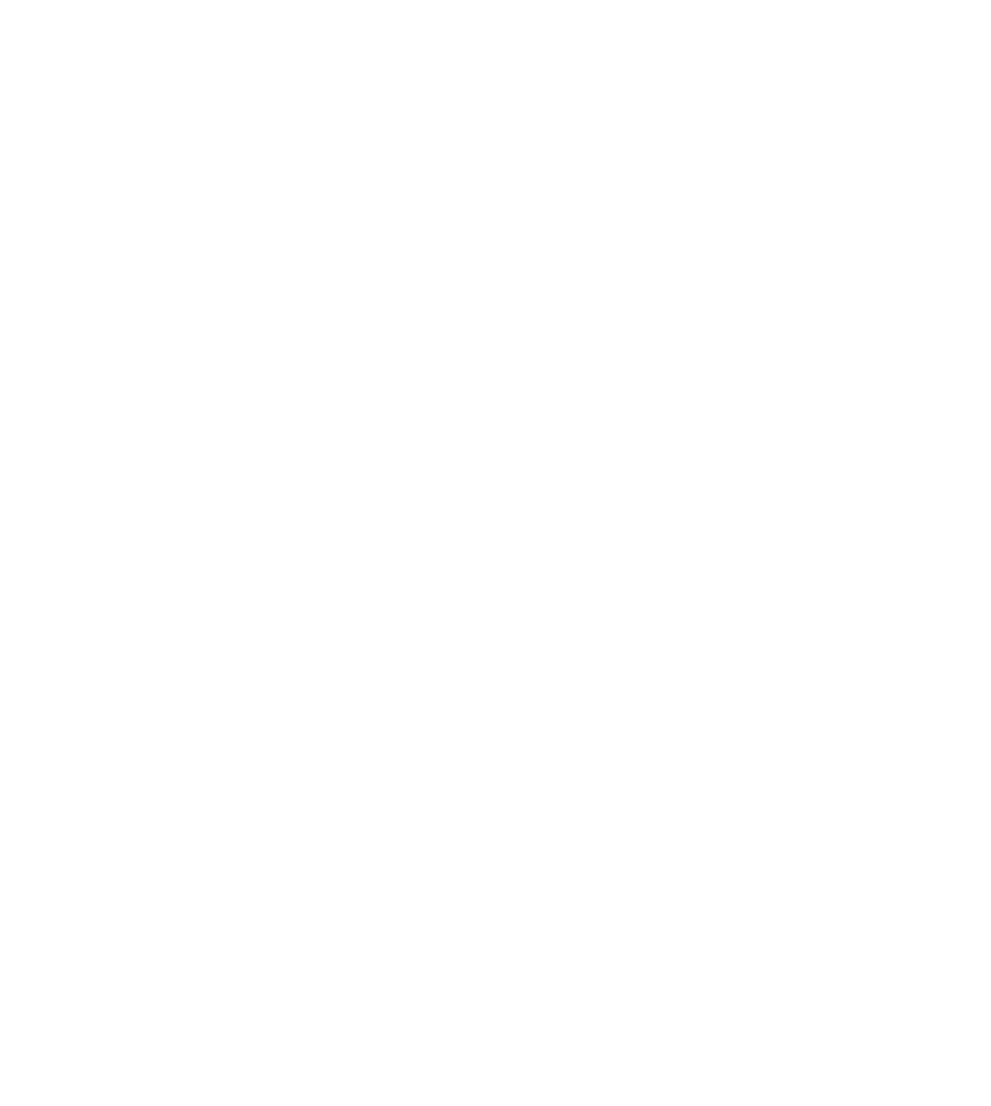 The Other Consultants