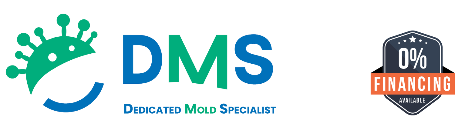 Dedicated Mold Specialist