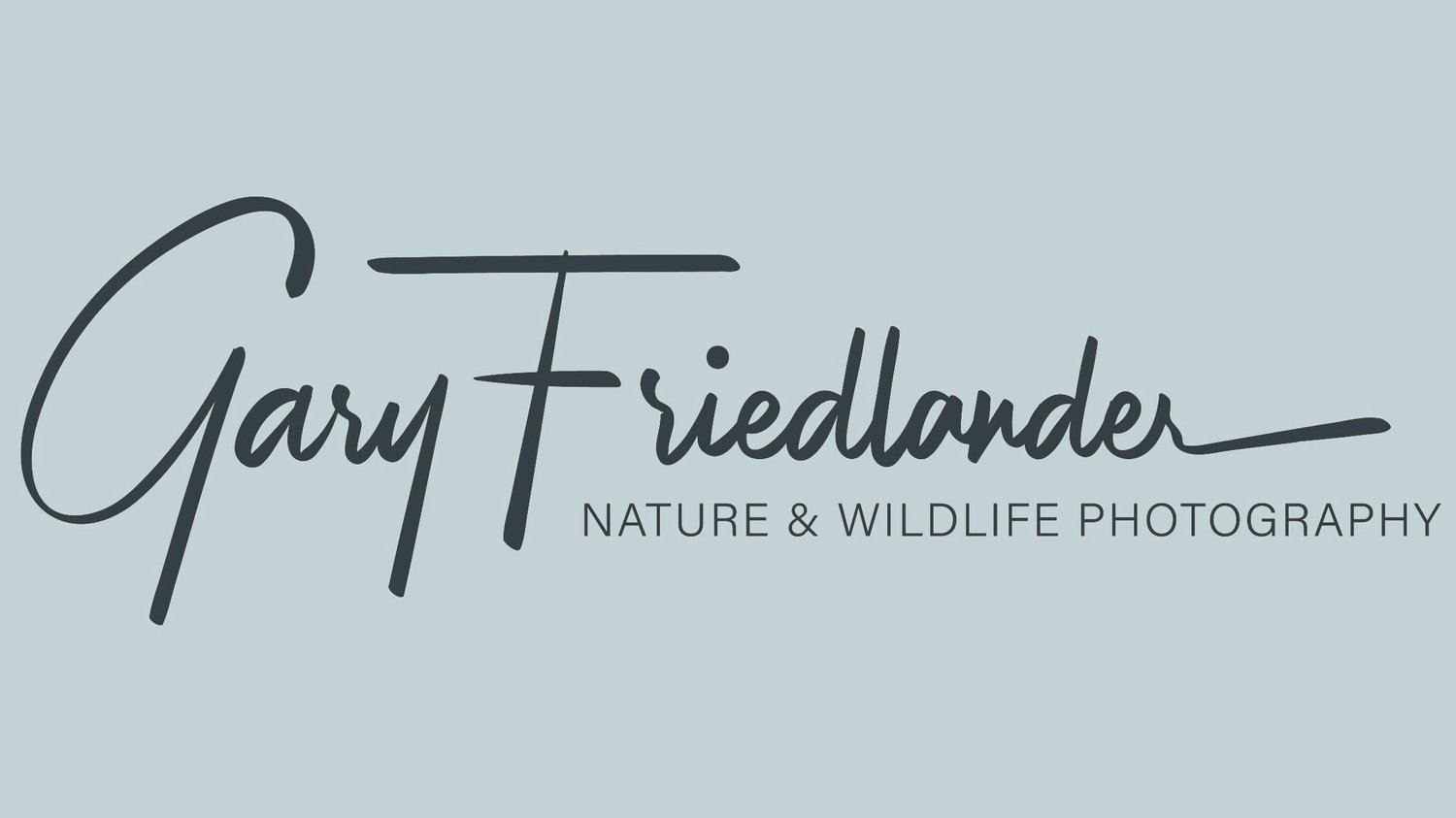 Gary Friedlander Nature &amp; Wildlife Photography
