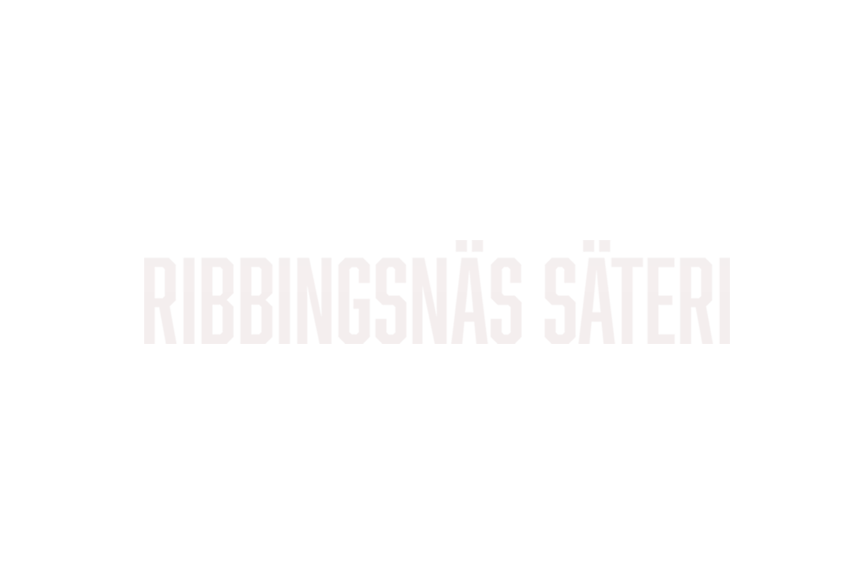 Ribbingsnäs säteri