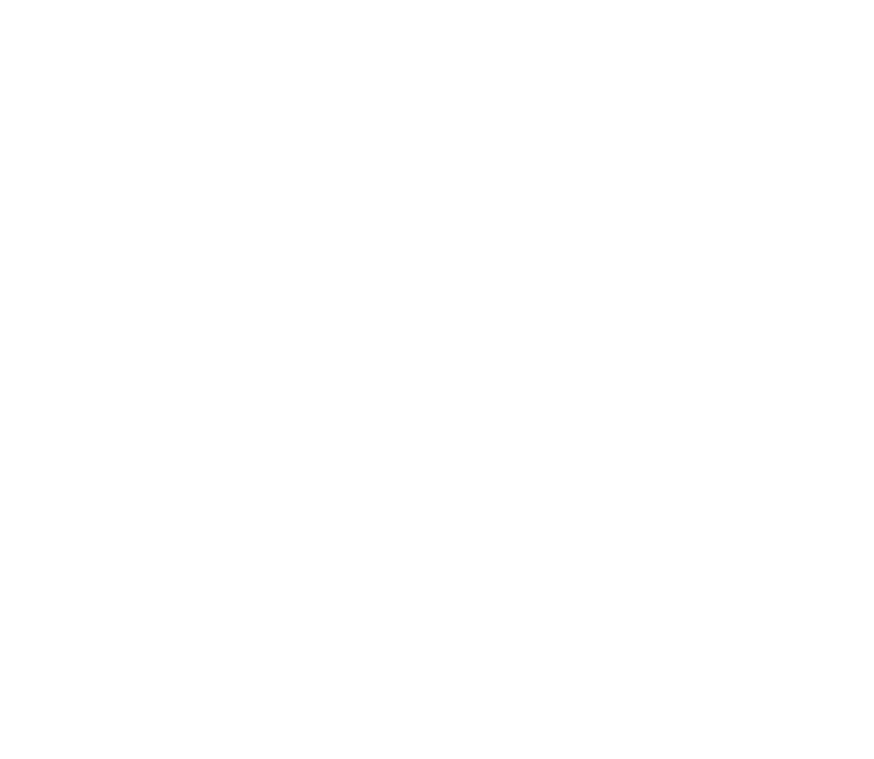 The DGSC