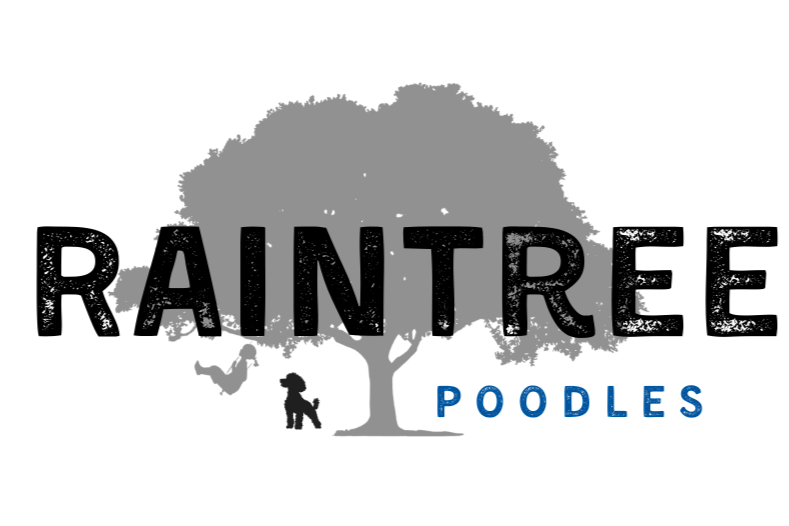 Raintree Poodles
