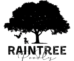 Raintree Poodles
