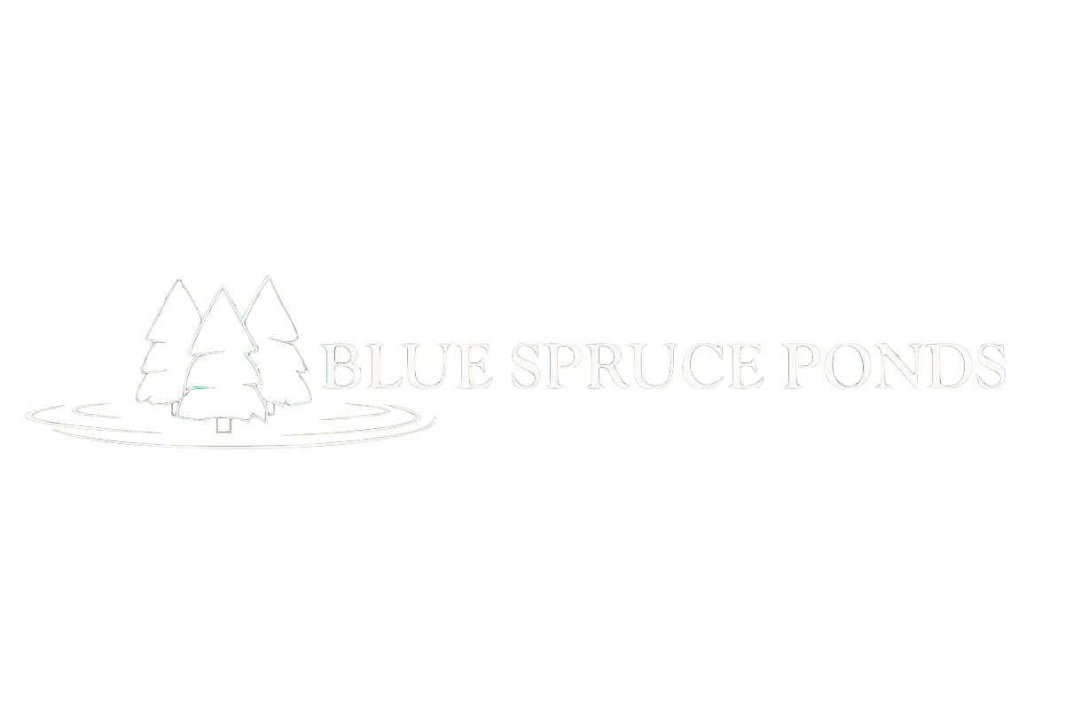 Blue Spruce Ponds