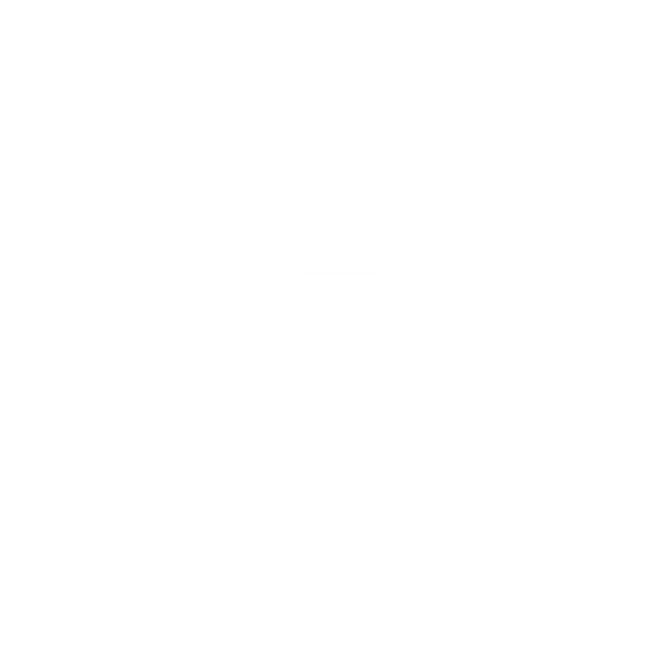 Webb Junior Scholars Summer Program