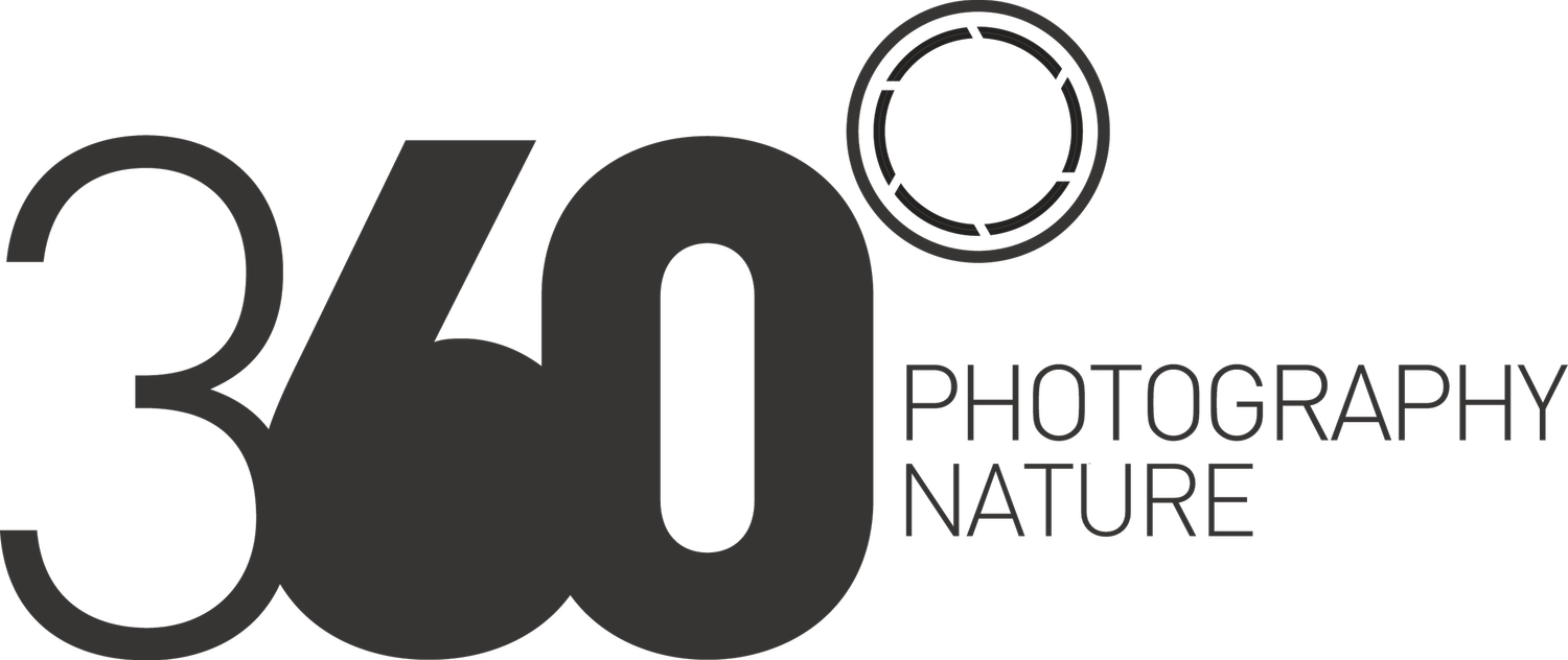 Wildlife Photography Journey