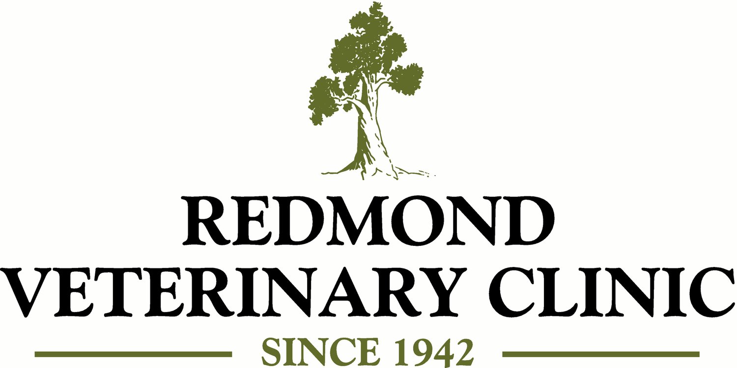 Redmond Veterinary Clinic Central Oregon