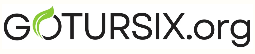 GOTURSIX.ORG