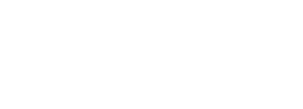 SecOne | Transparent by Design