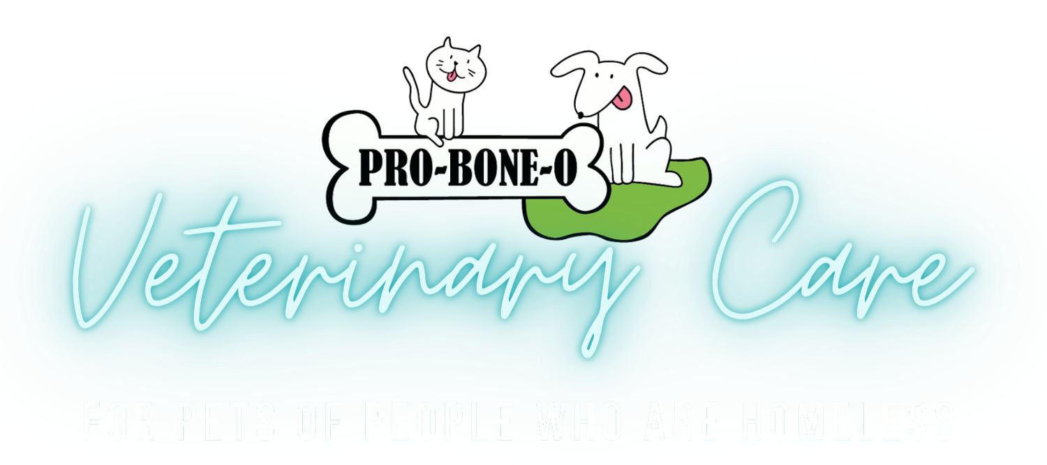 Pro-Bone-O