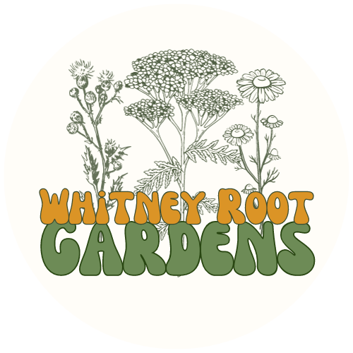 Whitney Root Gardens