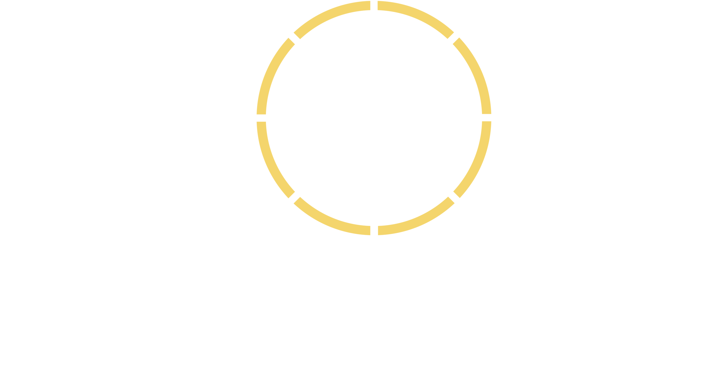 Lion Leadership 