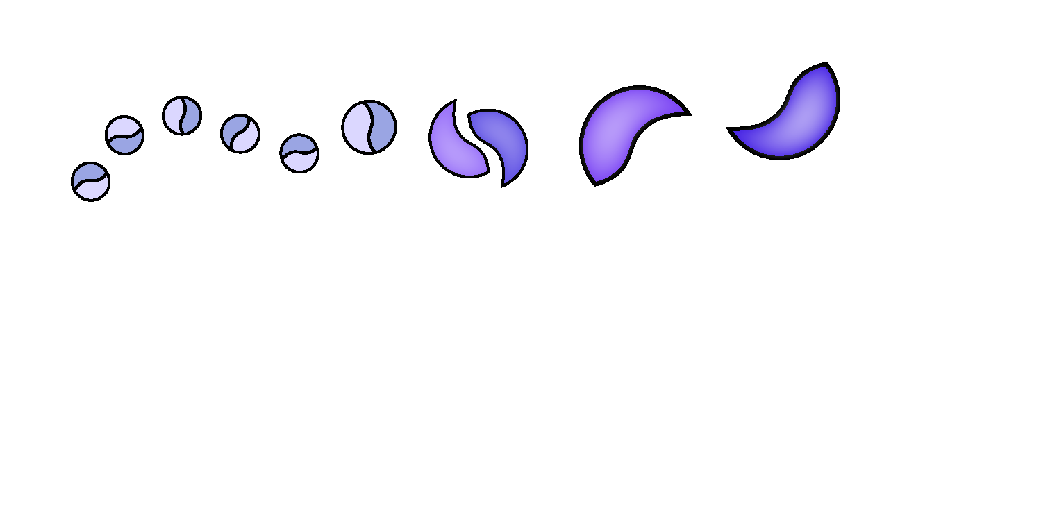 The Gunn Lab 
