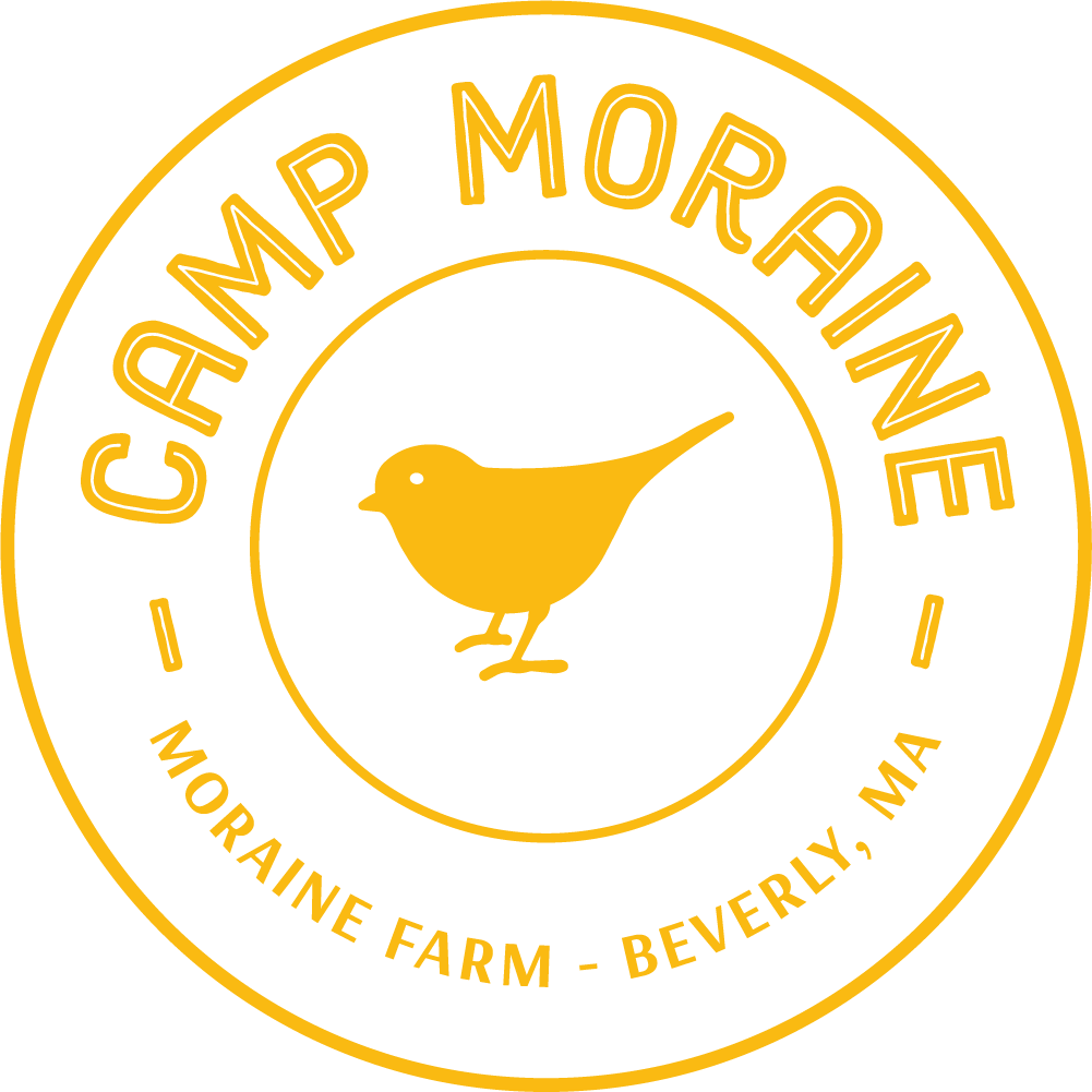 Camp Moraine