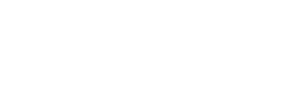 The Lavish Lens