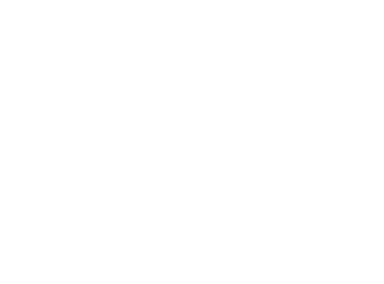 SCI-NISSIMMOBILIER/ NISSI REALTY GROUP
