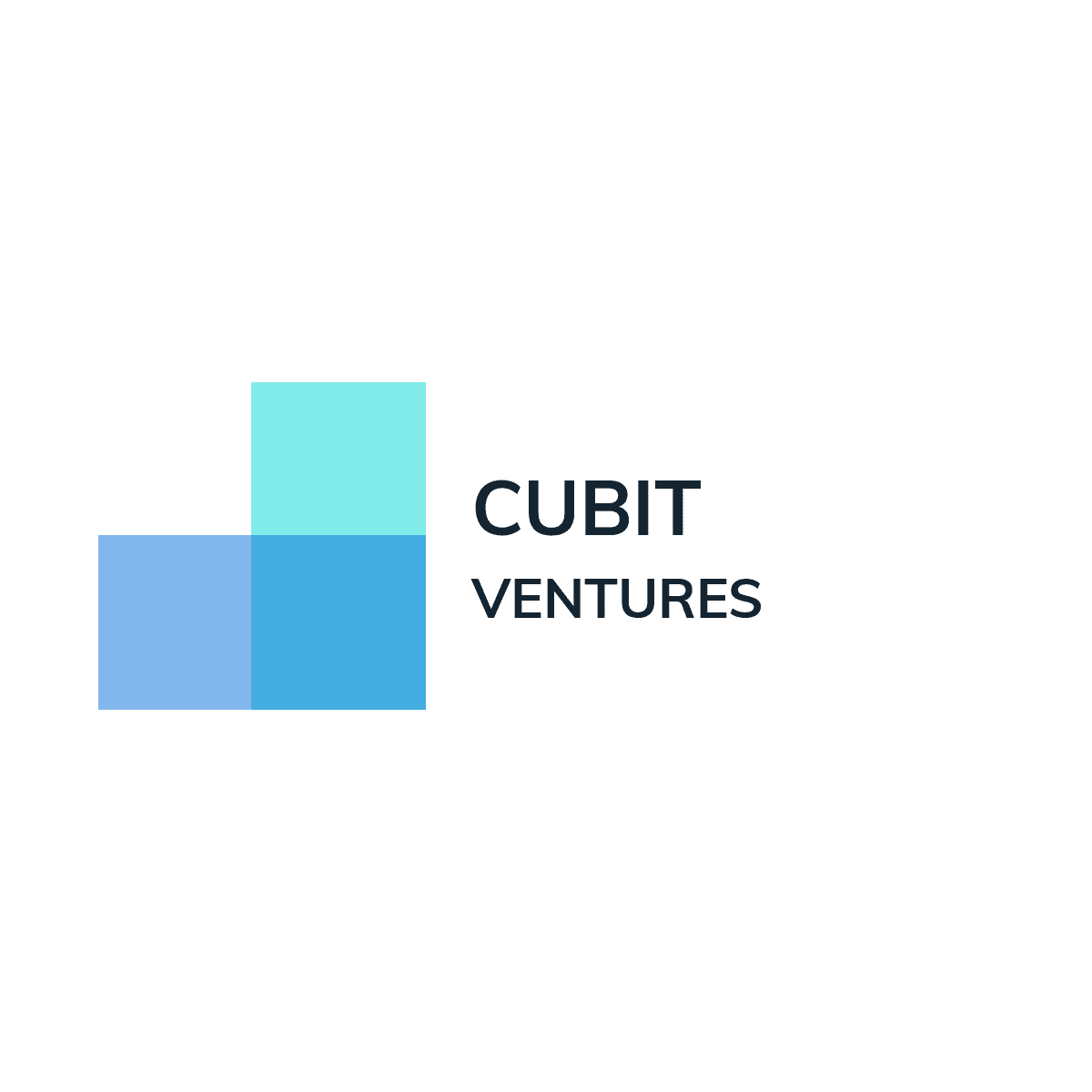 CUBIT Ventures