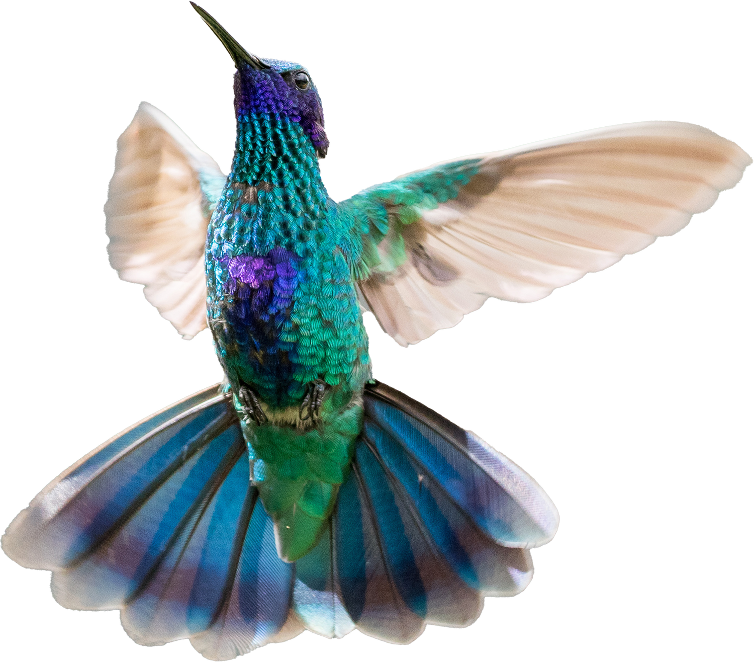 Mini Me Services LLC