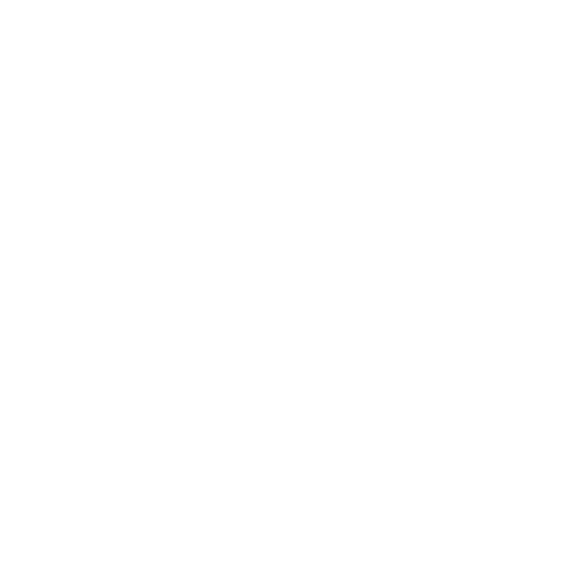 Pegasus